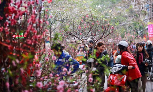 Hà Nội sẽ có 64 chợ hoa xuân phục vụ Tết Nguyên đán Kỷ Hợi - Ảnh 1.