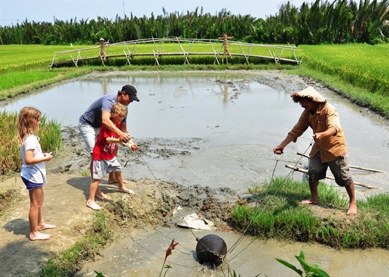 Quảng Ngãi: Đẩy mạnh hoạt động phát triển du lịch nông thôn gắn với xây dựng nông thôn - Ảnh 1.