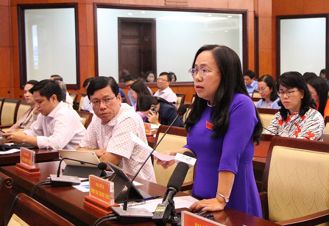 HĐND TP Hồ Chí Minh bàn giải pháp bảo tồn các di sản văn hóa - Ảnh 1.