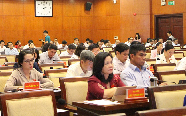 HĐND TP Hồ Chí Minh bàn giải pháp bảo tồn các di sản văn hóa - Ảnh 3.