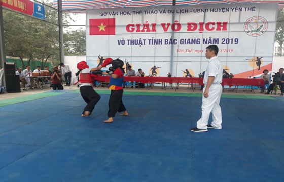 Giải vô địch võ thuật tỉnh Bắc Giang 2019 - Ảnh 1.