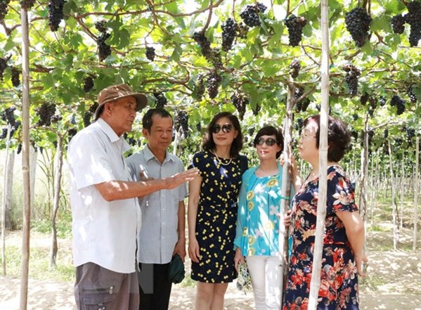 Lượng khách đến Ninh Thuận dịp nghỉ lễ tăng gấp 3 lần năm 2018 - Ảnh 1.