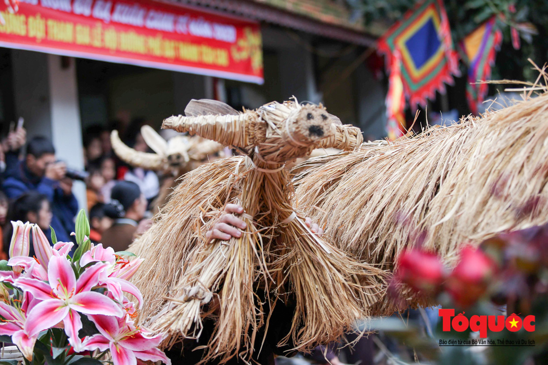 Lạ kỳ lễ hội trâu rơm, bò rạ ở đồng bằng sông Hồng - Ảnh 4.