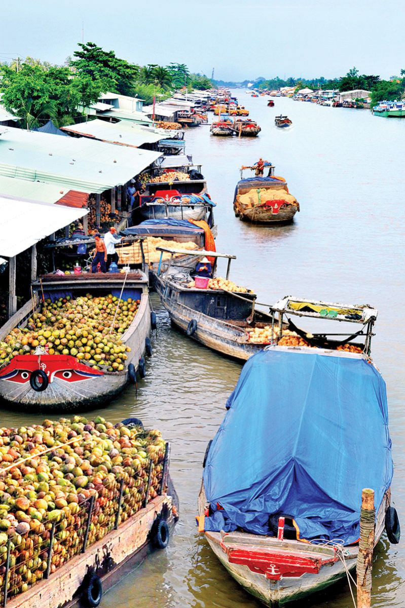 Bến Tre: Định hướng phát triển du lịch thành ngành kinh tế mũi nhọn của tỉnh - Ảnh 2.