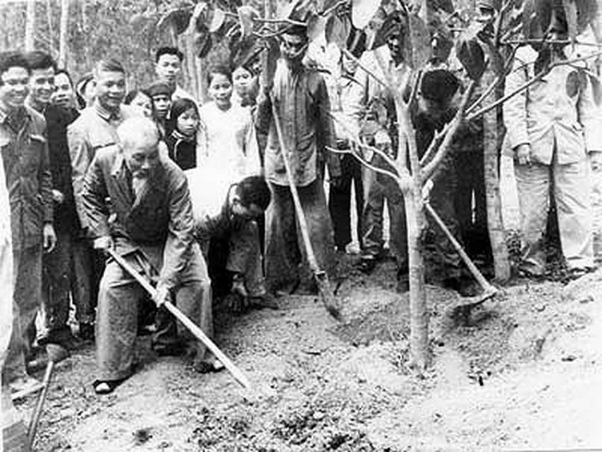 Chủ tịch Hồ Chí Minh và vấn đề bảo vệ môi trường sống