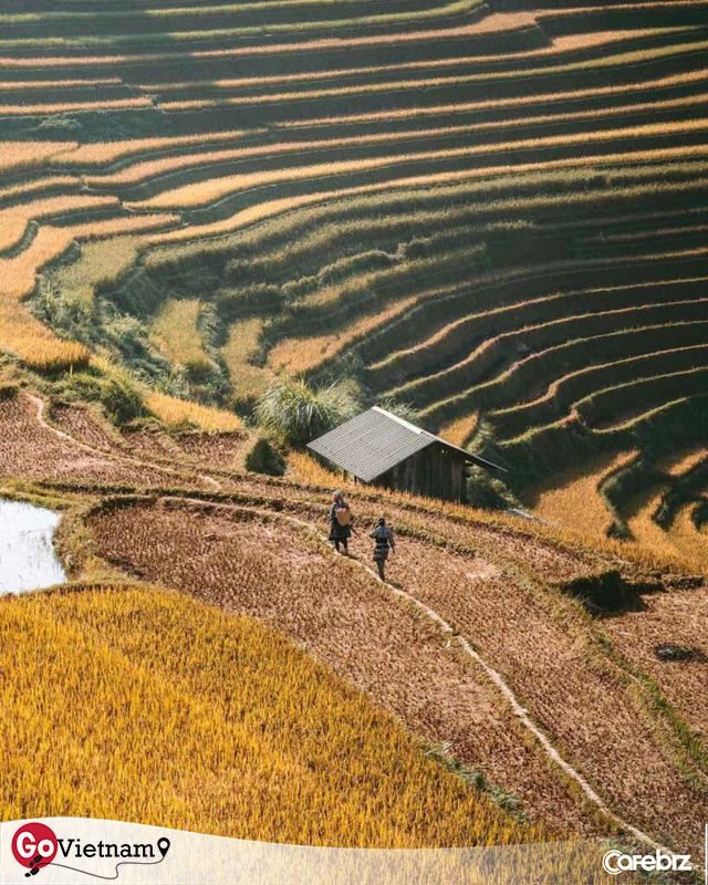 Tháng 10 - tháng của những kẻ nghiện dịch chuyển: Cheo leo trên rẻo cao Tây Bắc, đắm chìm vào Mùa thu vàng mênh mang  - Ảnh 3.