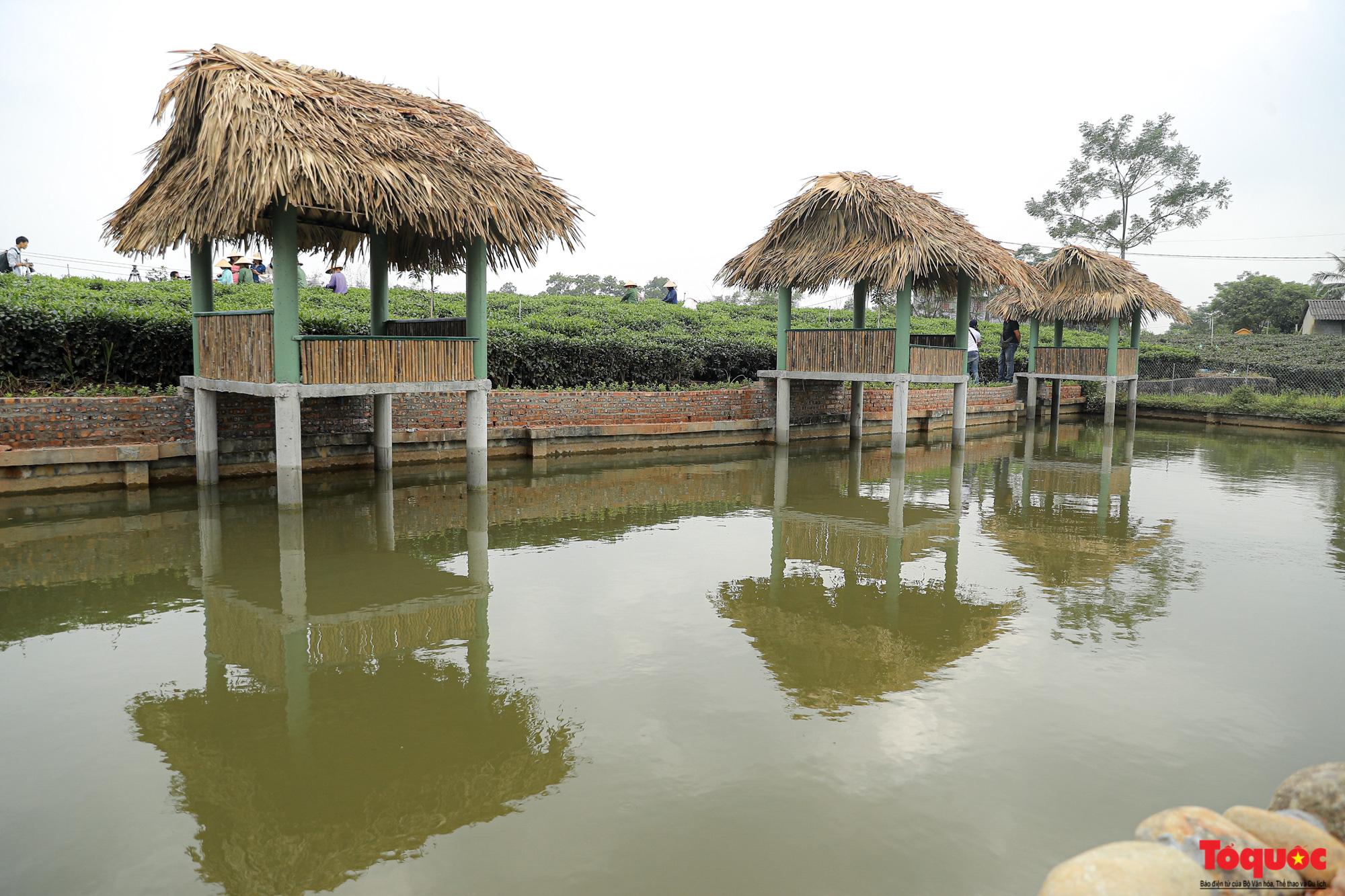 Mô hình kinh doan kết hợp du lịch trải nghiệm góp phần nâng tầm đặc sản chè Thái Nguyên - Ảnh 3.