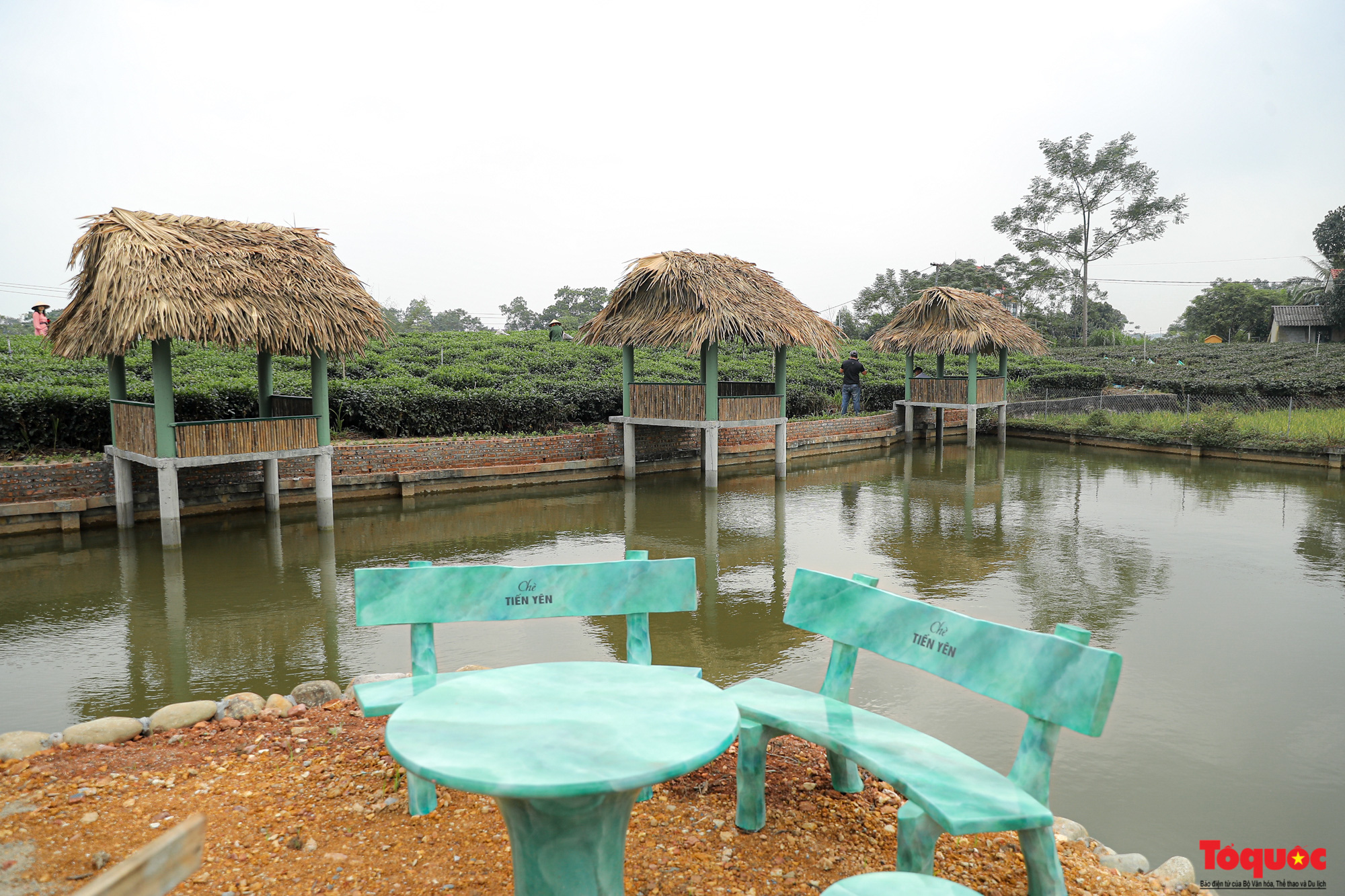 Mô hình kinh doan kết hợp du lịch trải nghiệm góp phần nâng tầm đặc sản chè Thái Nguyên - Ảnh 4.