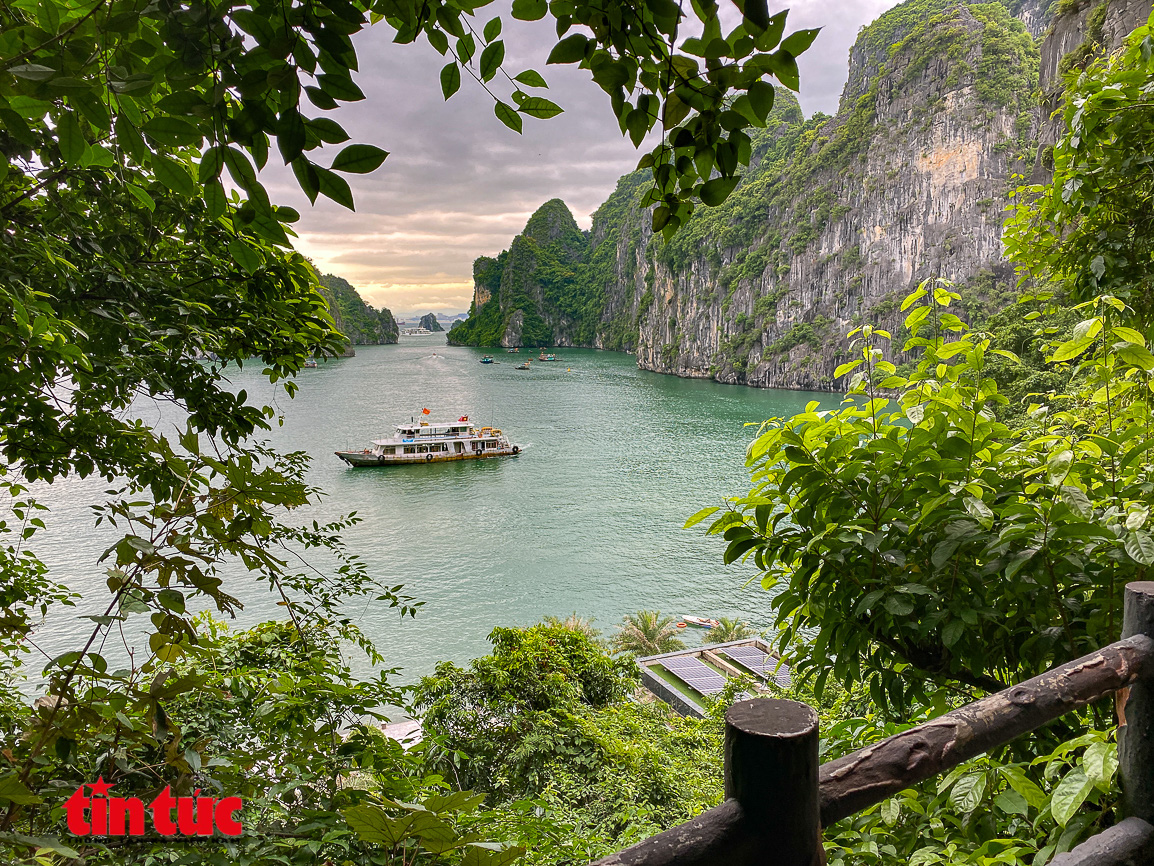Quảng Ninh chủ động 'tiếp thị', thu hút khách du lịch nội địa - Ảnh 1.