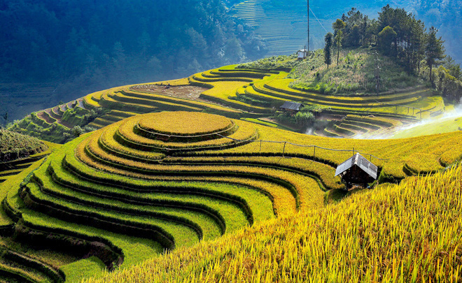 Bảo tồn, phát huy giá trị của di tích quốc gia đặc biệt ruộng bậc thang Mù Cang Chải  - Ảnh 1.