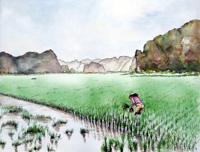 Cảnh đẹp Việt Nam qua nét vẽ tôn vinh của du khách Pháp