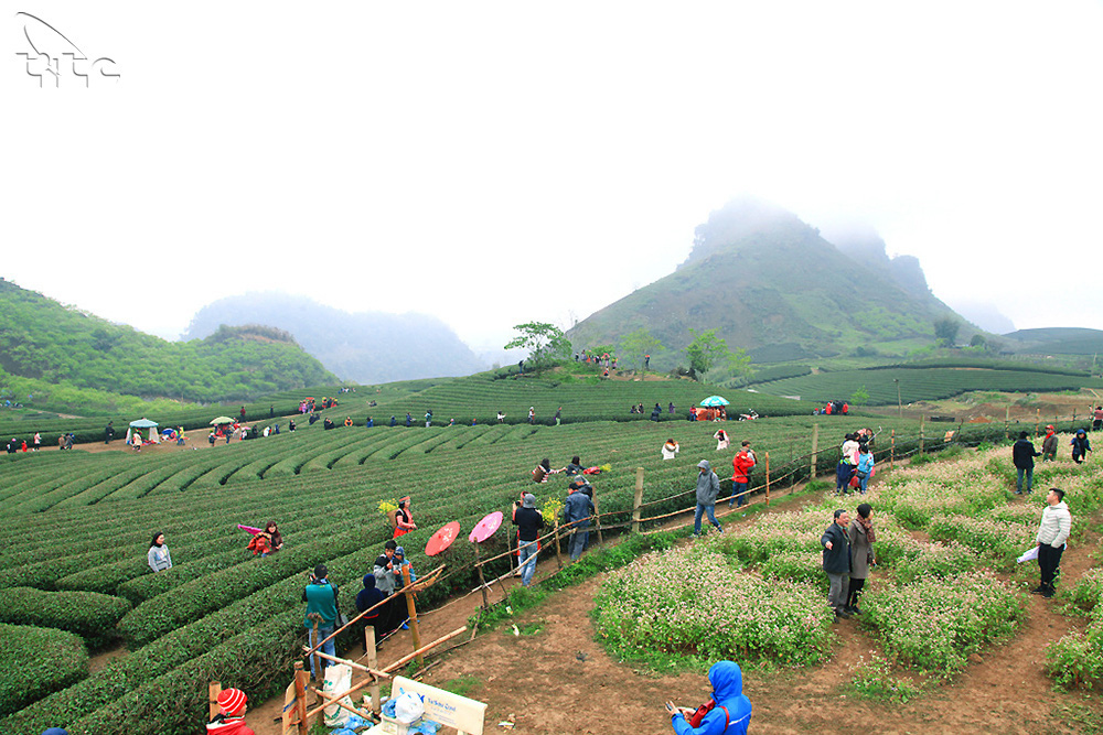 Giới thiệu về tài nguyên, lợi thế phát triển du lịch của tỉnh Sơn La với nhân dân và du khách tại thành phố Hà Nội - Ảnh 1.