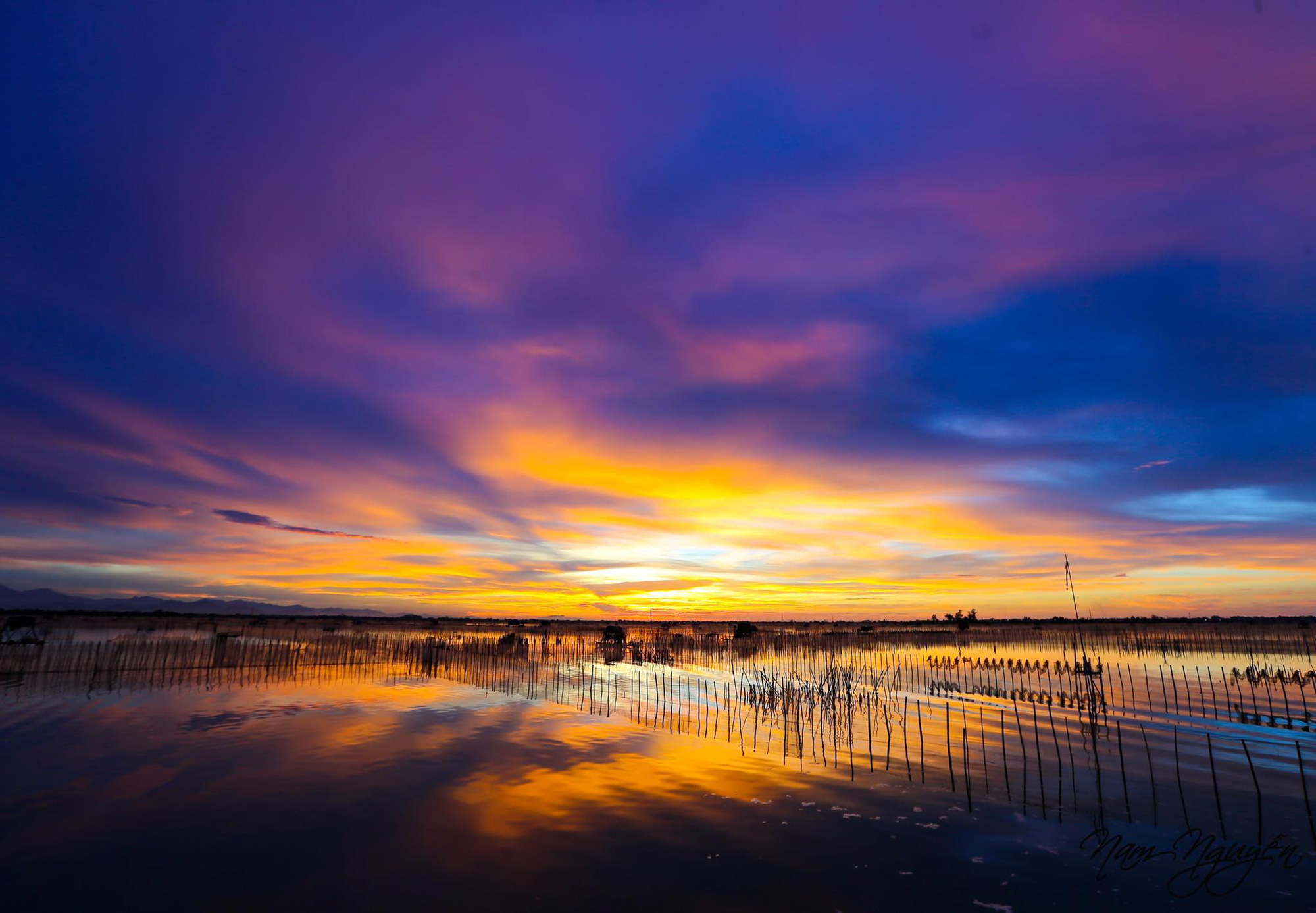 Chính thức thành lập Khu bảo tồn thiên nhiên đất ngập nước Tam Giang – Cầu Hai - Ảnh 1.