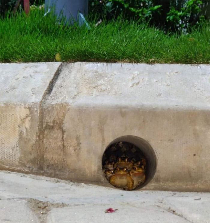 Loạt ảnh thế giới tự nhiên khiến nhiều người xem xong phải rùng mình vì sự khắc nghiệt đến đáng sợ - Ảnh 5. Loạt ảnh thế giới tự nhiên khiến nhiều người xem xong phải rùng mình vì sự khắc nghiệt đến đáng sợ - Ảnh 5.