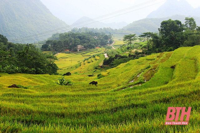 Phát triển du lịch Thanh Hóa trước thời cơ và thách thức mới - Ảnh 3.