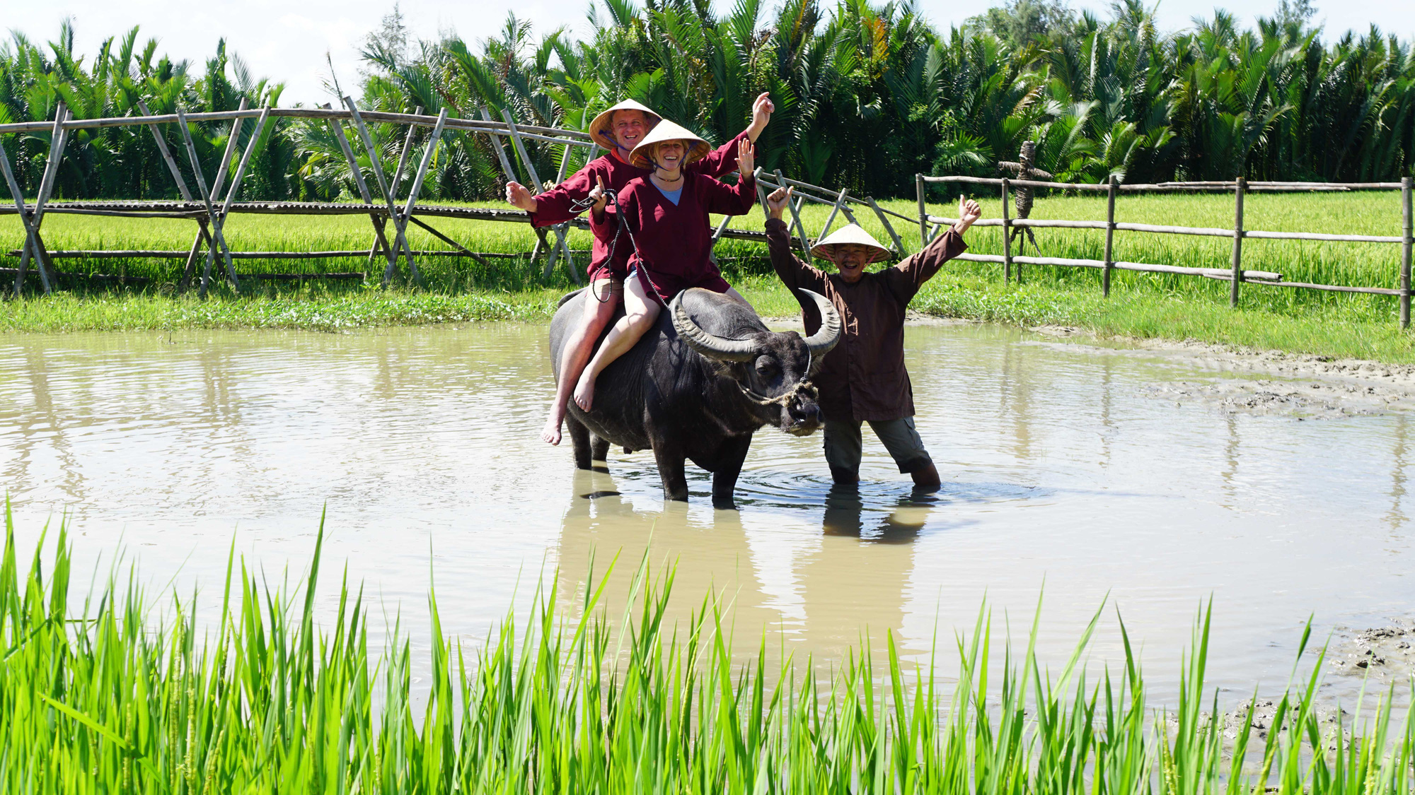 Năm Tân Sửu nghe kể chuyện nuôi trâu làm du lịch - Ảnh 3.