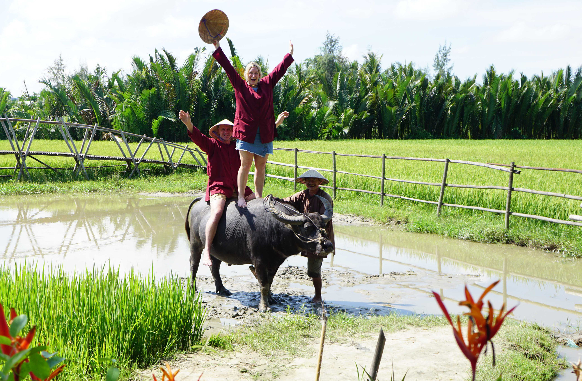 Năm Tân Sửu nghe kể chuyện nuôi trâu làm du lịch - Ảnh 4.