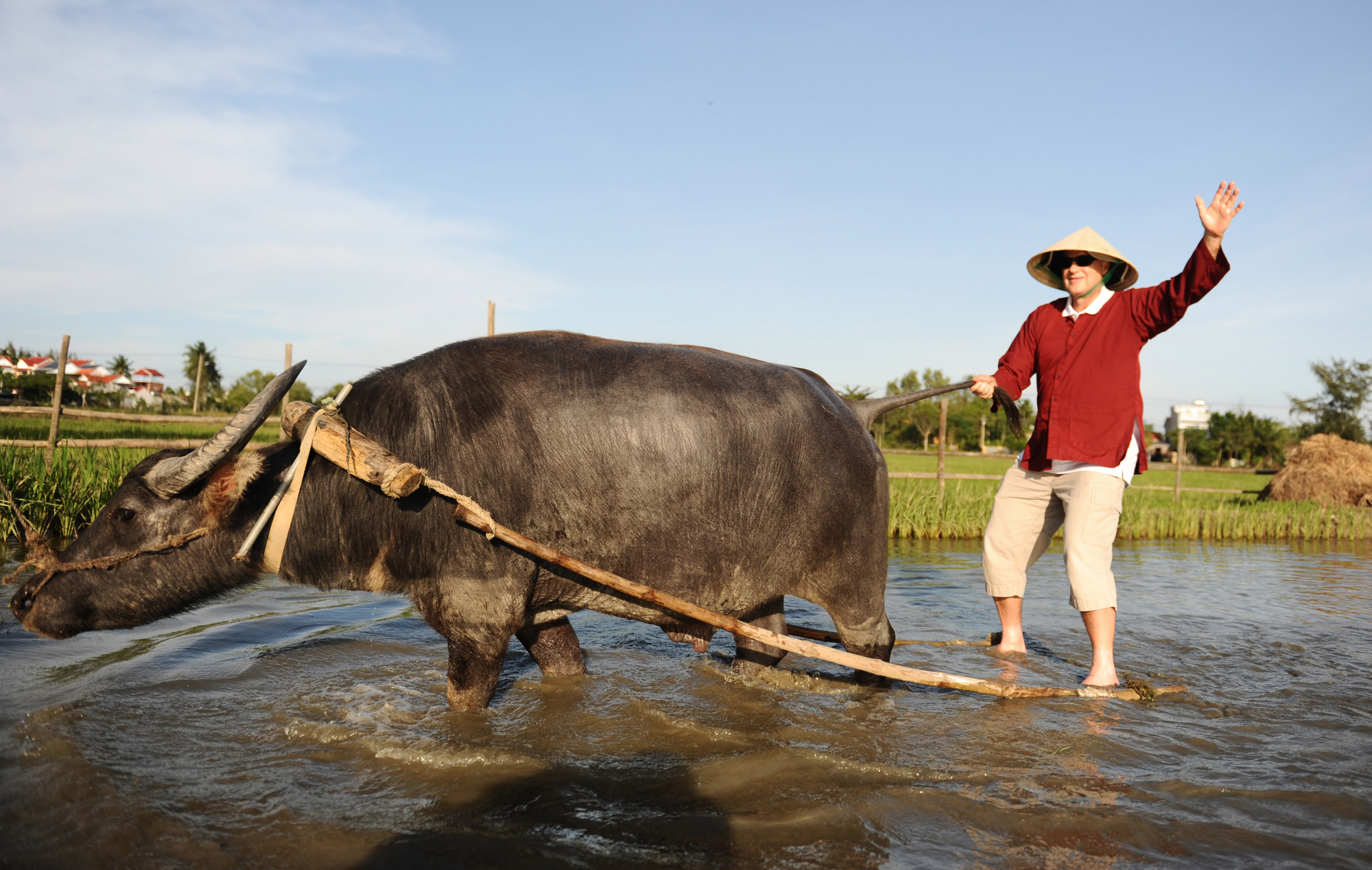 Năm Tân Sửu nghe kể chuyện nuôi trâu làm du lịch - Ảnh 5.