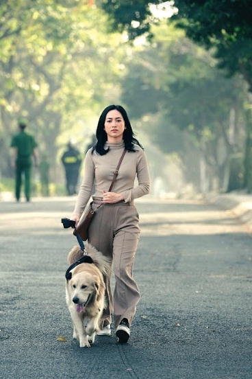 Hướng tới Liên hoan phim Việt Nam lần thứ XXII: Một mùa “Bông sen” mới - Ảnh 1.
