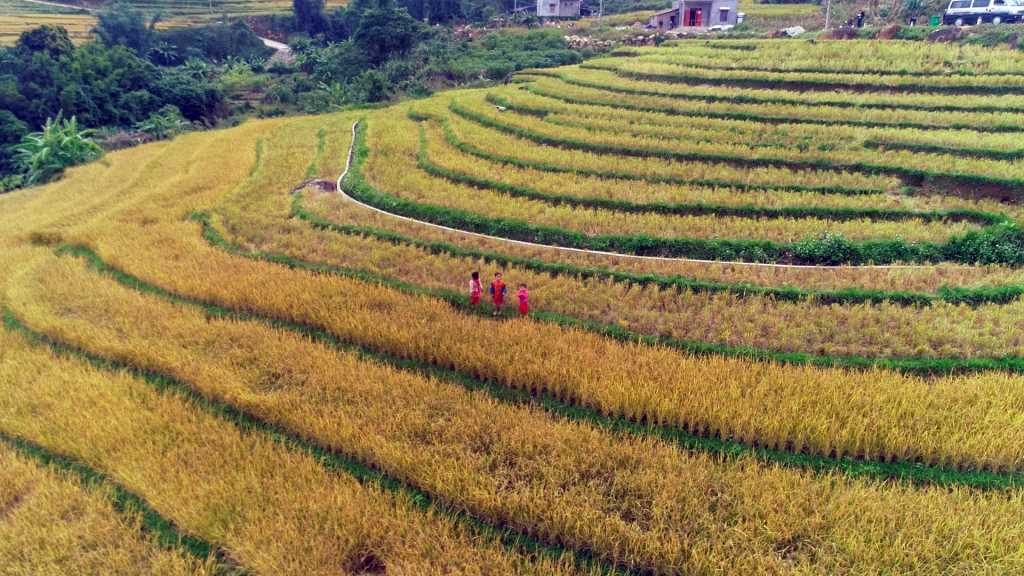 Quảng Ninh: Di sản văn hóa - tài nguyên quý để phát triển du lịch - Ảnh 2.