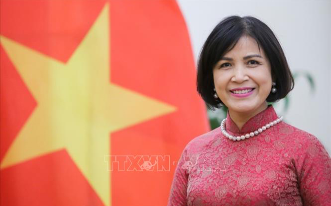 Việt Nam gia nhập Hiệp ước WIPO về quyền tác giả - Ảnh 1.