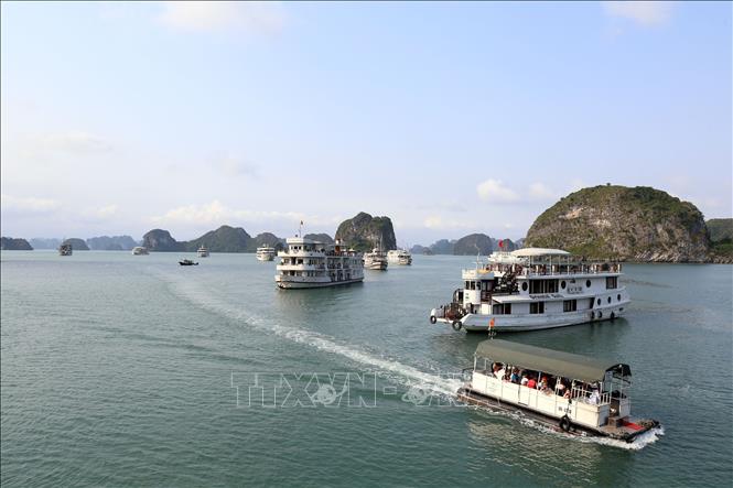 Quảng Ninh: Giảm 50% phí tham quan các điểm du lịch nổi tiếng trong 6 tháng đầu năm 2022 - Ảnh 1.