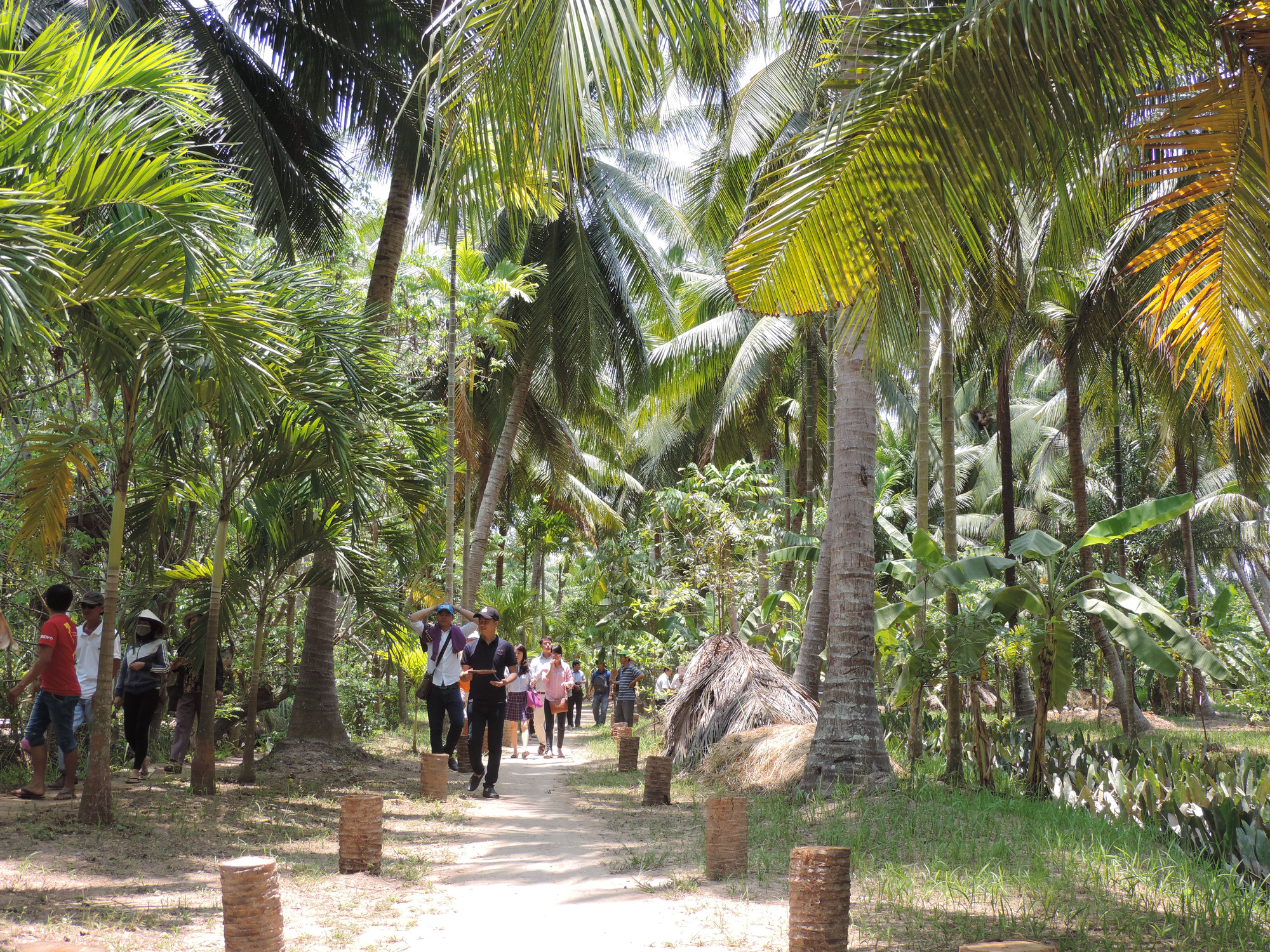 Nông Trại Phan Nam  Mô hình du lịch nông nghiệp sạch thú vị ở An Giang