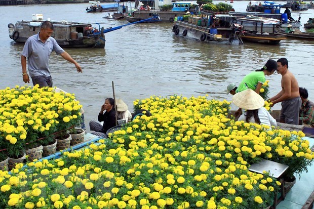 Đồng bằng sông Cửu Long: Phát triển mạnh các sản phẩm du lịch đặc thù vùng sông nước - Ảnh 2.