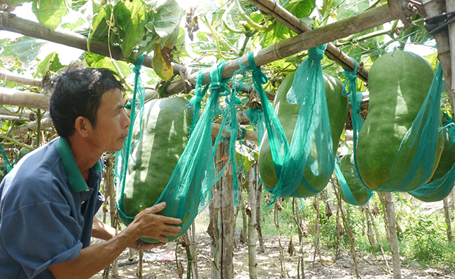 Bình Định: Phát triển du lịch làng nghề truyền thống  - Ảnh 1.