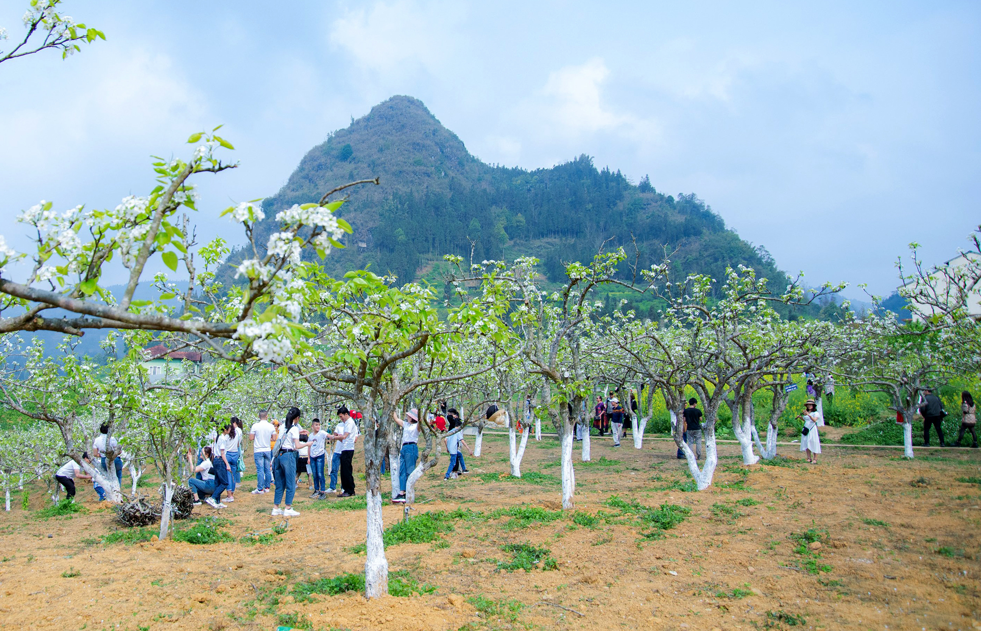 Du lịch Lào Cai phục hồi sau làn sóng Covid-19 thứ 3 - Ảnh 1.