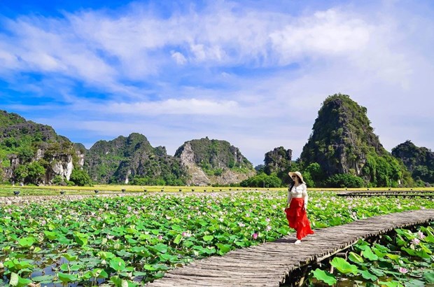 Du lịch nông nghiệp - hướng phát triển nhiều tiềm năng ở Ninh Bình - Ảnh 2.