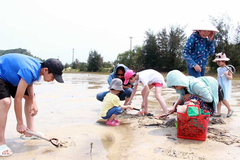 Quảng Ninh: Sức hút từ du lịch biển đảo - Ảnh 3.