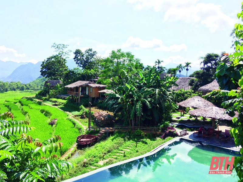 Kết hợp nông nghiệp sạch với du lịch sinh thái tại Vinpearl Nam Hội An  Resort  Villas