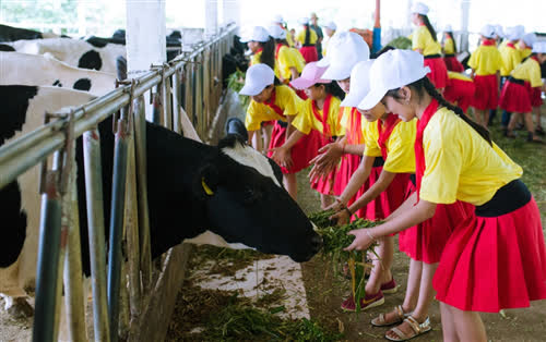 Sơn La phát triển du lịch gắn với nông nghiệp - Hướng đi bền vững - Ảnh 2.