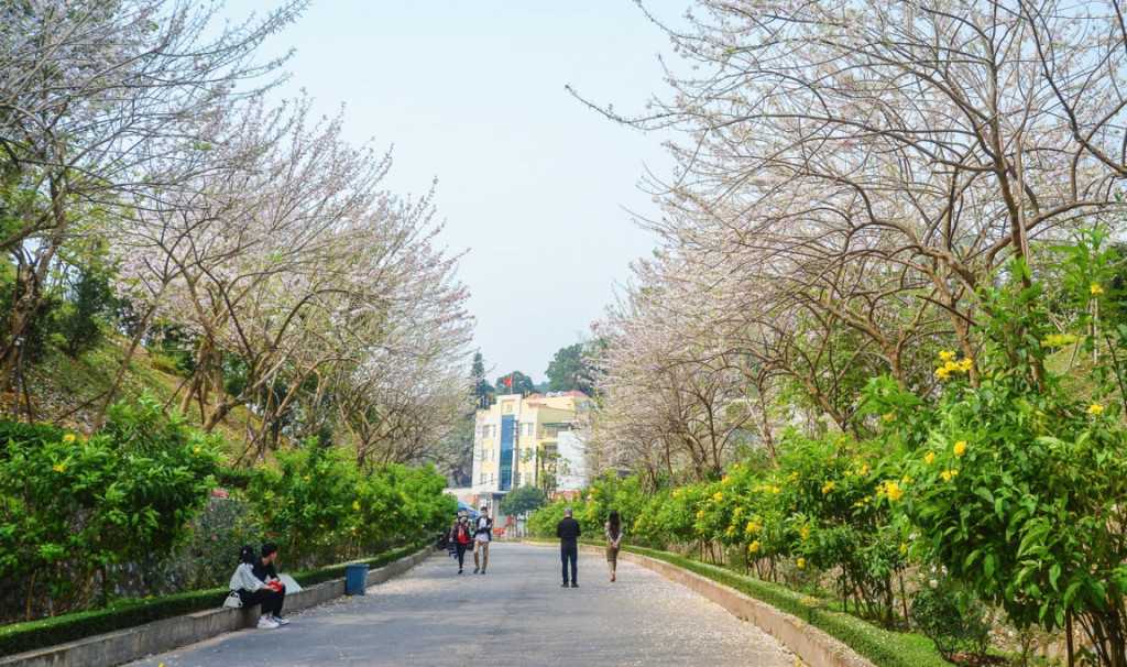 Quảng Ninh: Bảo vệ môi trường khu di tích, danh thắng - Ảnh 3.