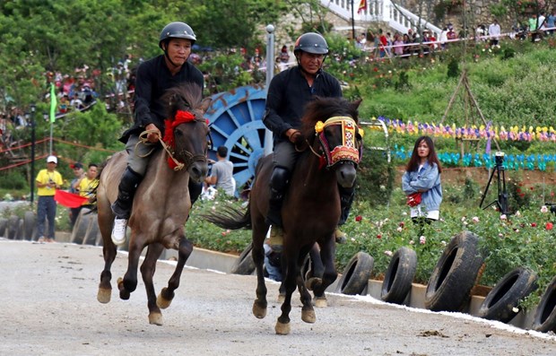 Bảo tồn những nét đặc sắc của di sản văn hóa Lễ hội đua ngựa Bắc Hà  - Ảnh 1.
