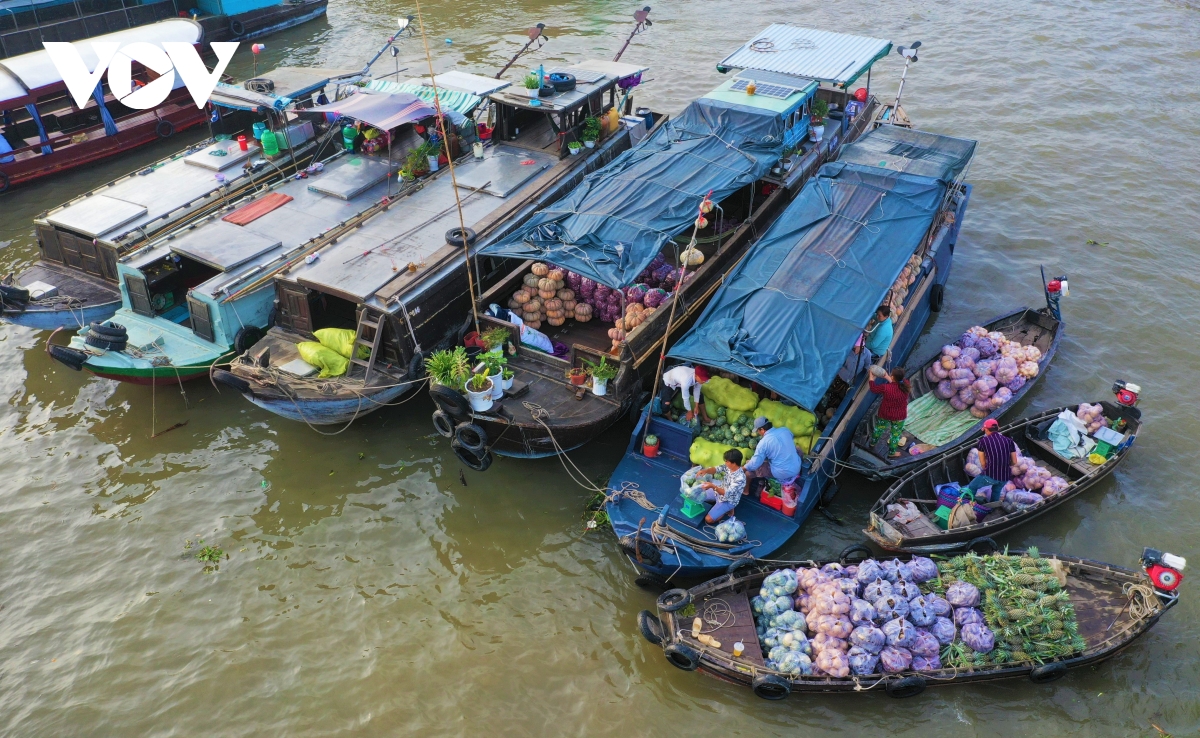 Cần Thơ dừng tổ chức Ngày hội du lịch “Văn hóa Chợ nổi Cái Răng” năm 2021 - Ảnh 1.