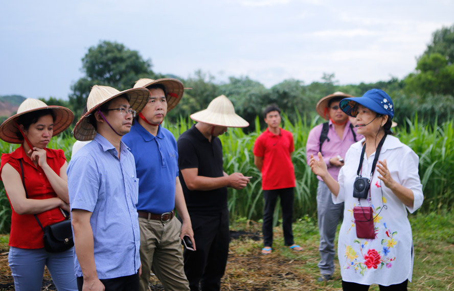 Hà Nội xây dựng sản phẩm OCOP cho du lịch - Ảnh 1.