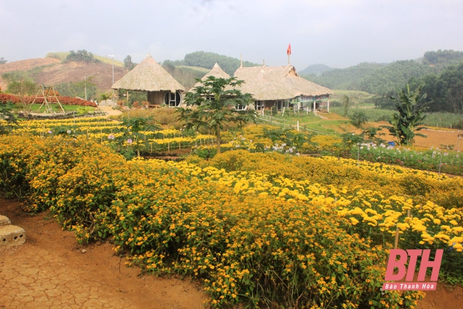 Thanh Hóa: Du lịch nông nghiệp - Tiềm năng chờ khai thác - Ảnh 1.