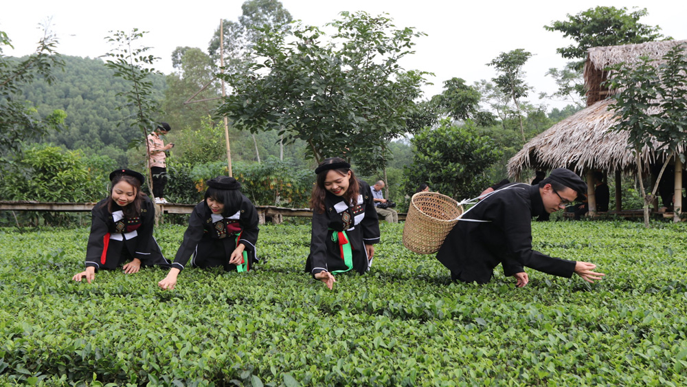 Bắc Giang: Khai thác lợi thế, phát triển du lịch &quot;xanh&quot; - Ảnh 1.