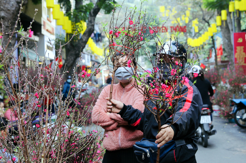 Hà Nội tổ chức 78 điểm chợ hoa Xuân dịp Tết 2022 - Ảnh 1.