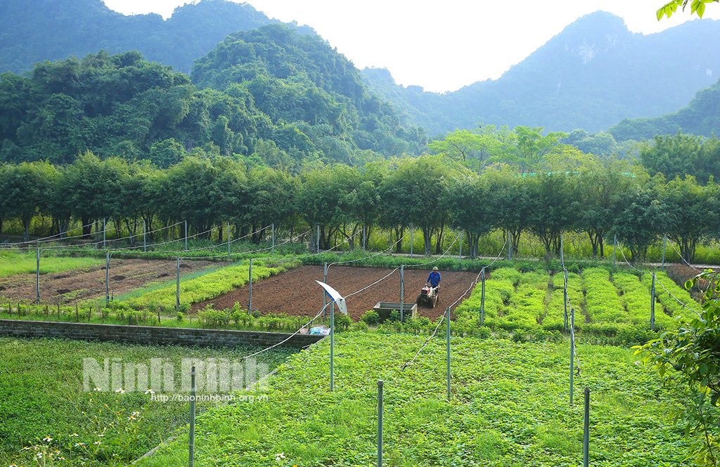 Ninh Bình: Triển vọng về một mô hình phát triển nông nghiệp gắn với du lịch sinh thái - Ảnh 2.