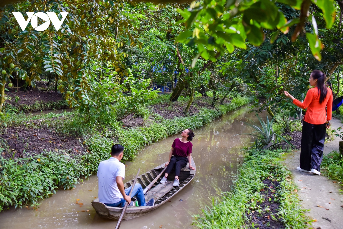 Tour miệt vườn, sông nước hút khách đến Cần Thơ - Ảnh 1.