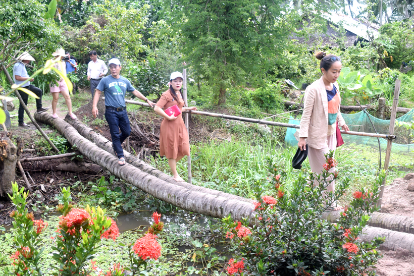 Trà Vinh: Phát triển du lịch sinh thái cộng đồng bền vững - Ảnh 1.