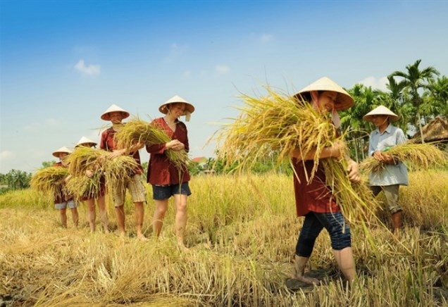 Hội An hướng tới thành phố sáng tạo: Phát triển và sáng tạo trên nền tảng truyền thống - Ảnh 1.