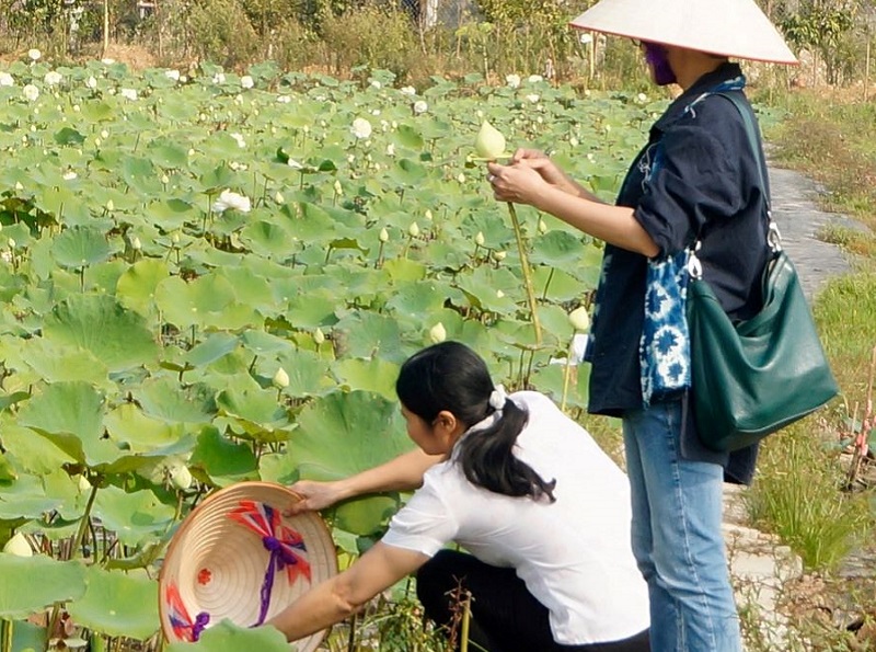 Thái Bình: &quot;Đánh thức&quot; tiềm năng du lịch sinh thái - Ảnh 2.