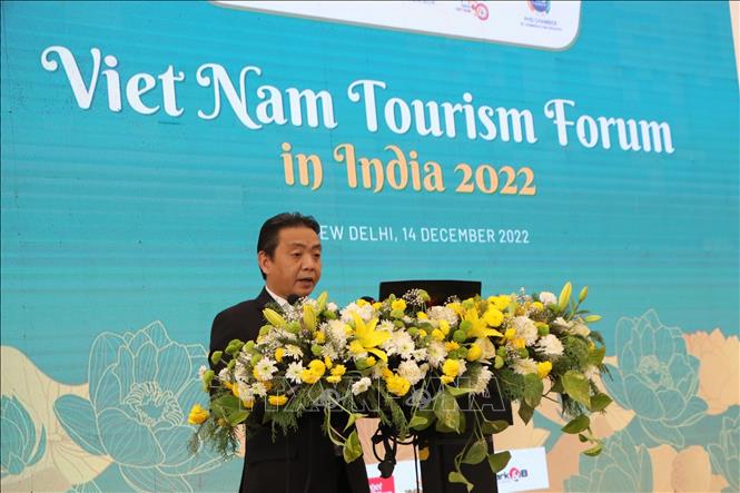 Việt Nam - Ấn Độ không ngừng thúc đẩy hợp tác du lịch - Ảnh 2.