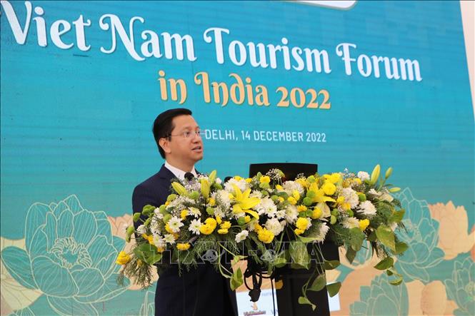 Việt Nam - Ấn Độ không ngừng thúc đẩy hợp tác du lịch - Ảnh 1.