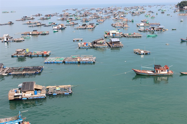 Kiên Giang phát động cuộc thi Ảnh nghệ thuật lễ hội và mùa xuân - Ảnh 1.