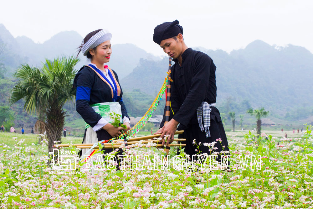 Thái Nguyên: Lan tỏa phong trào “Toàn dân đoàn kết xây dựng đời sống văn hóa” - Ảnh 1.